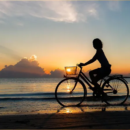 Koralle Apartman Koserow